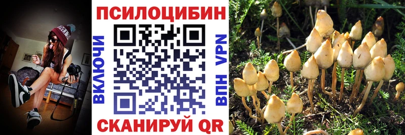 Галлюциногенные грибы Psilocybe  сколько стоит  Новоаннинский 